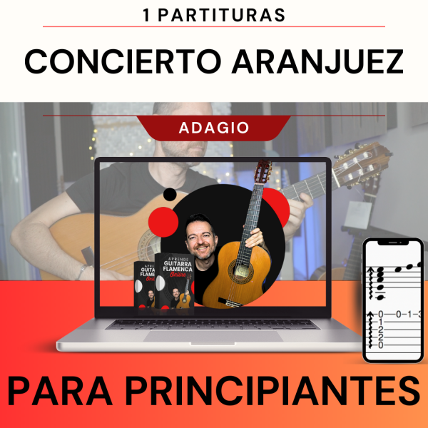 CONCIERTO DE ARANJUEZ (ADAGIO) versión Daniel Valenzuela